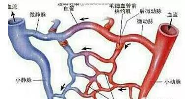 亚健康状况的主要原因_亚健康问题原因_亚健康原因分析