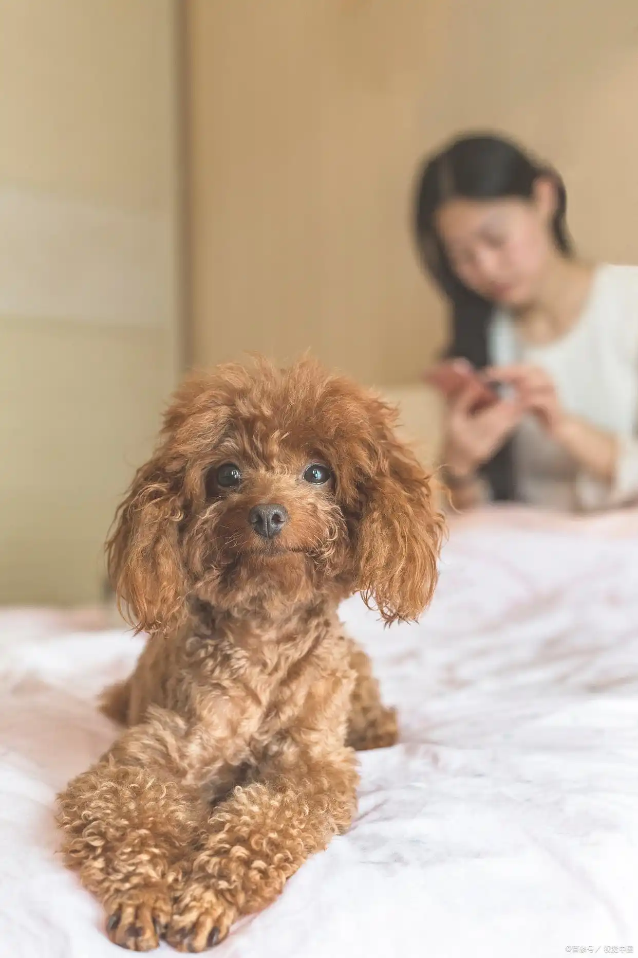 养动物的小视频_养动物生活小技巧_养动物技巧生活小妙招视频
