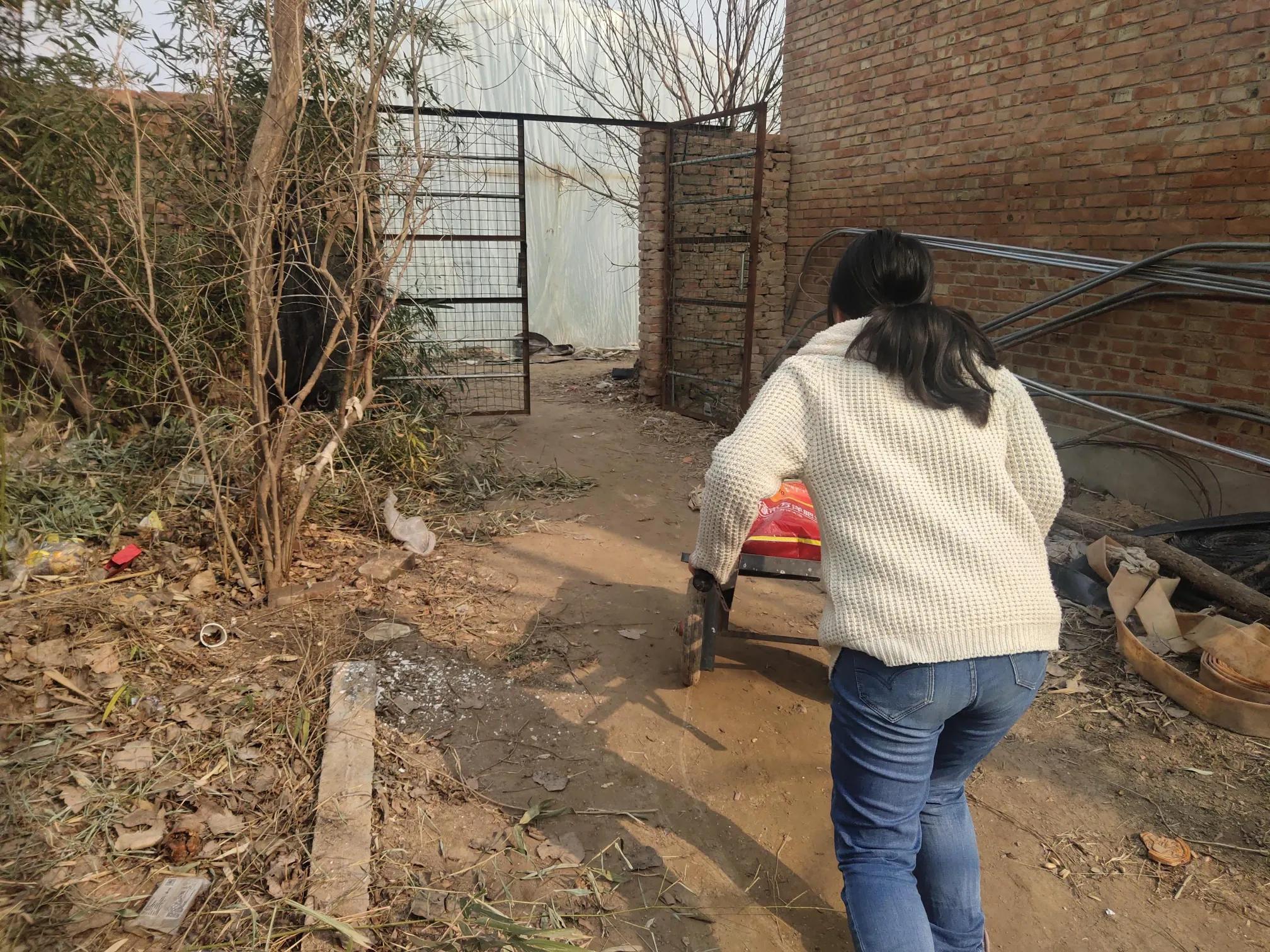 城市家庭春节日常_春节家庭游玩攻略_春节家庭